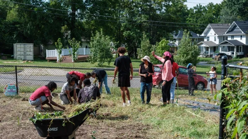 People working in a community garden