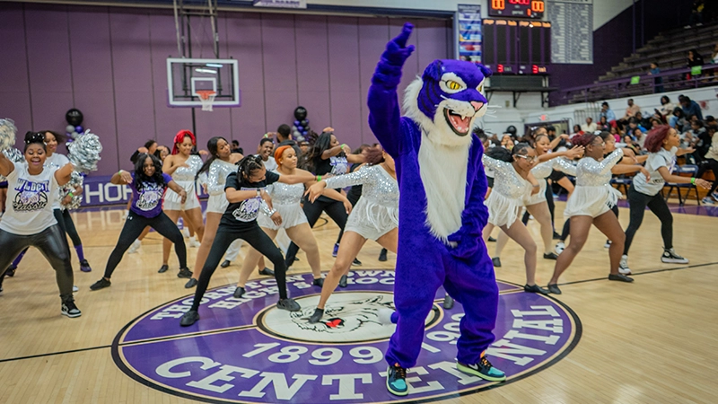 Man in a purple wildcat costume dancing on basketball court with high school dance team dancing in background.
