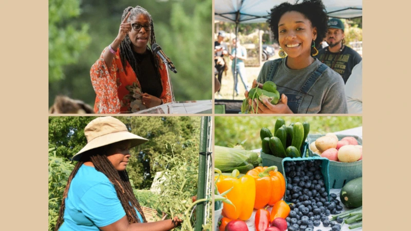 community volunteers pass out food